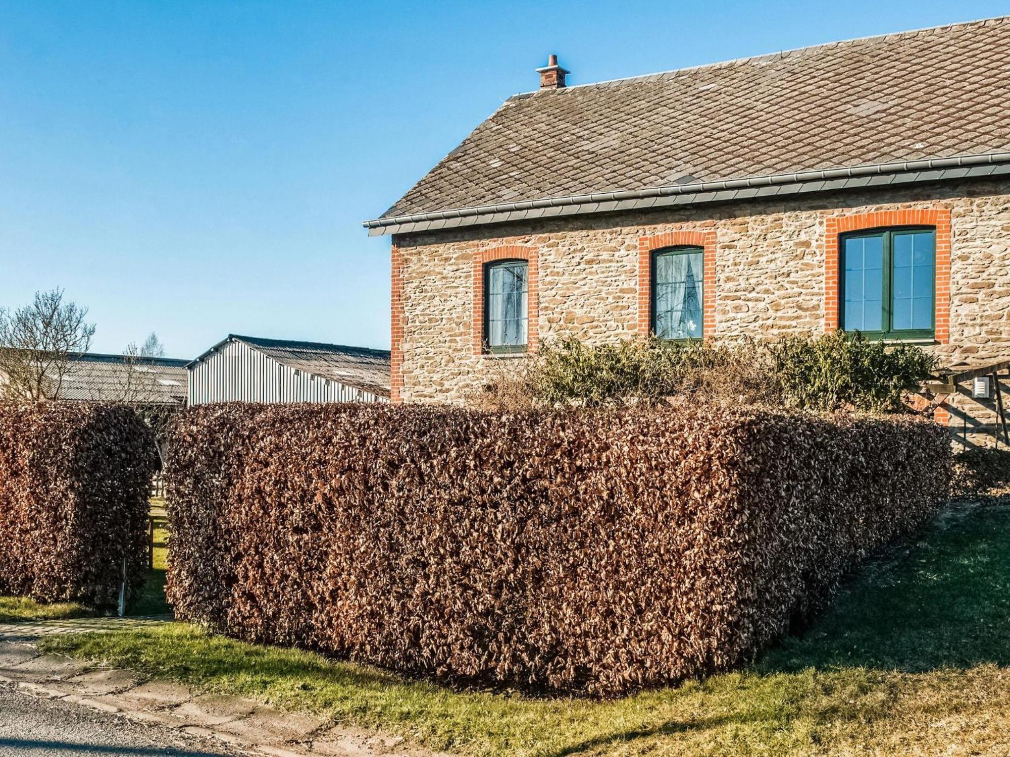 Pretty Farmhouse In Houffalize With Courtyard ภายนอก รูปภาพ